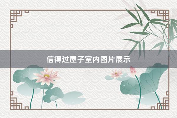 信得过屋子室内图片展示