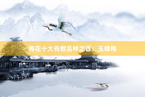梅花十大有数品种之首：玉蝶梅